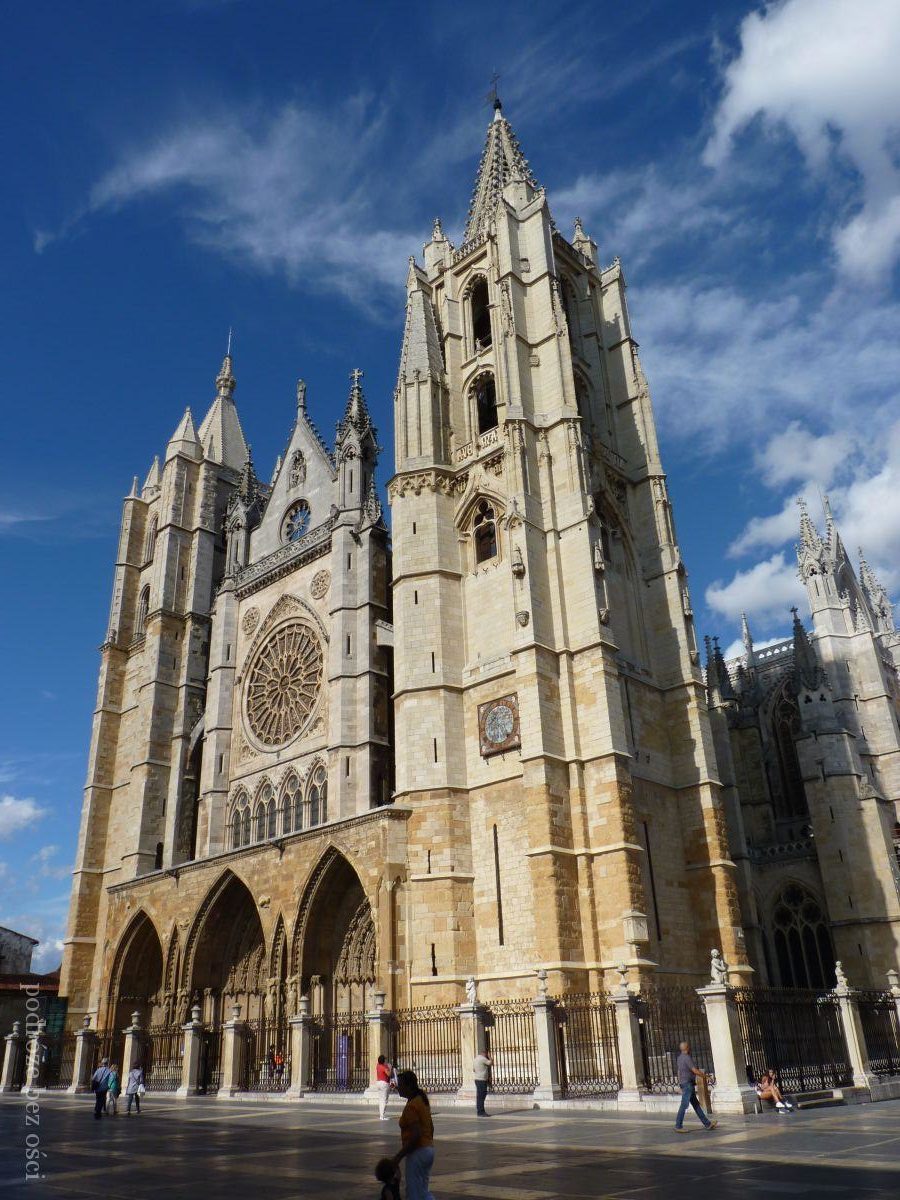 Katedra w Leon