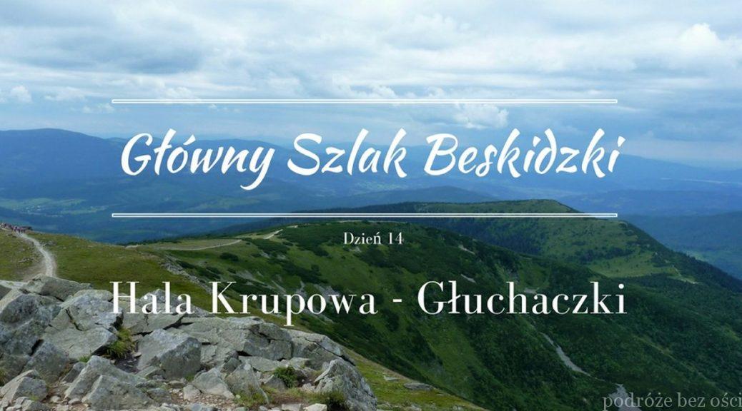 GSB Hala Krupowa - Babia Góra - Głuchaczki