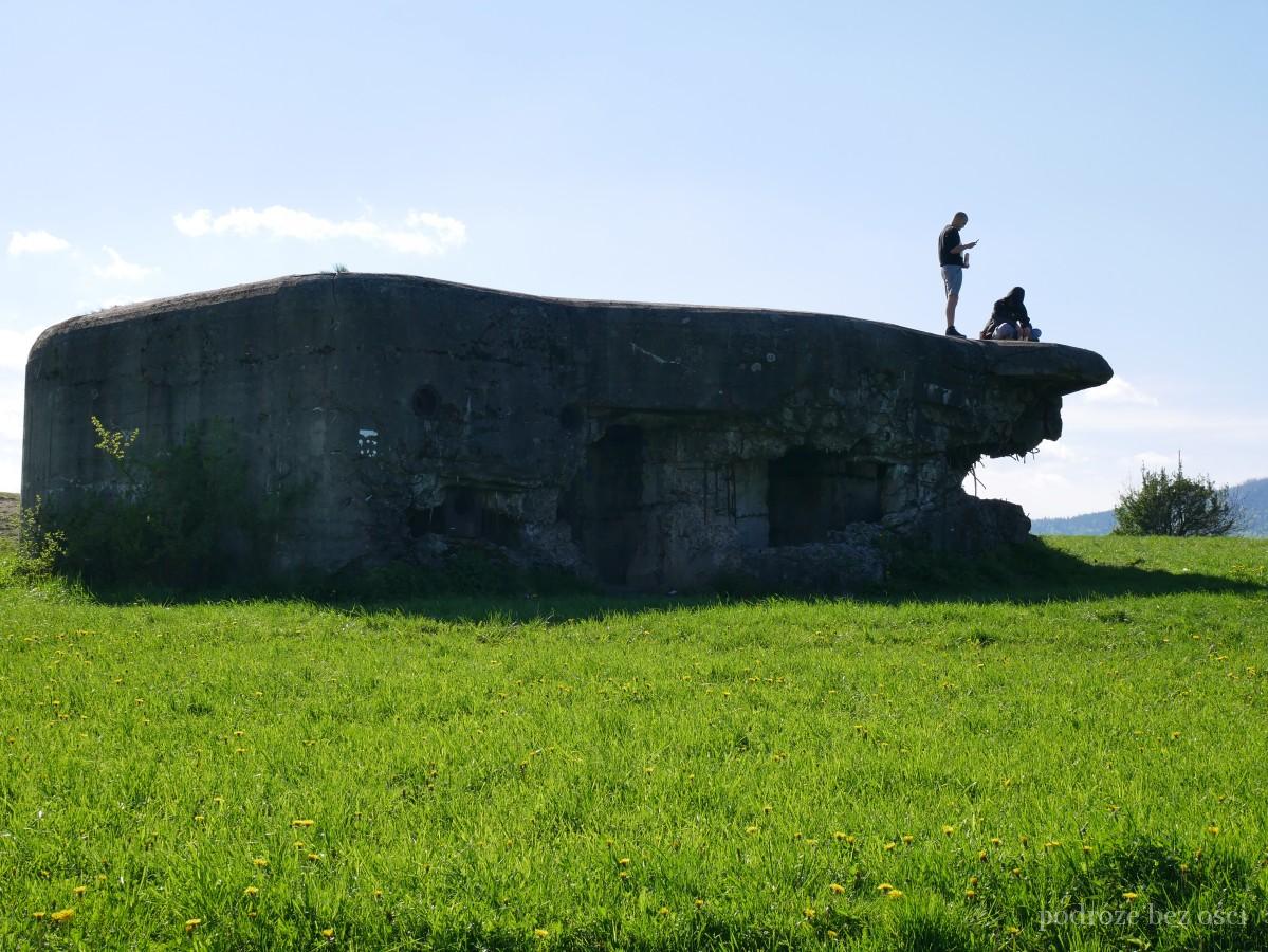 Fort Wyrwidąb schron Żabnica