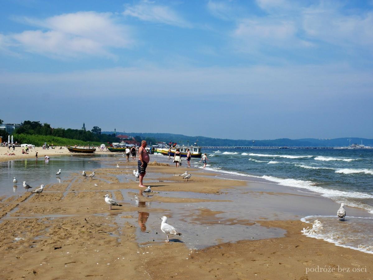 Sopot Plaża i mewy w Sopocie