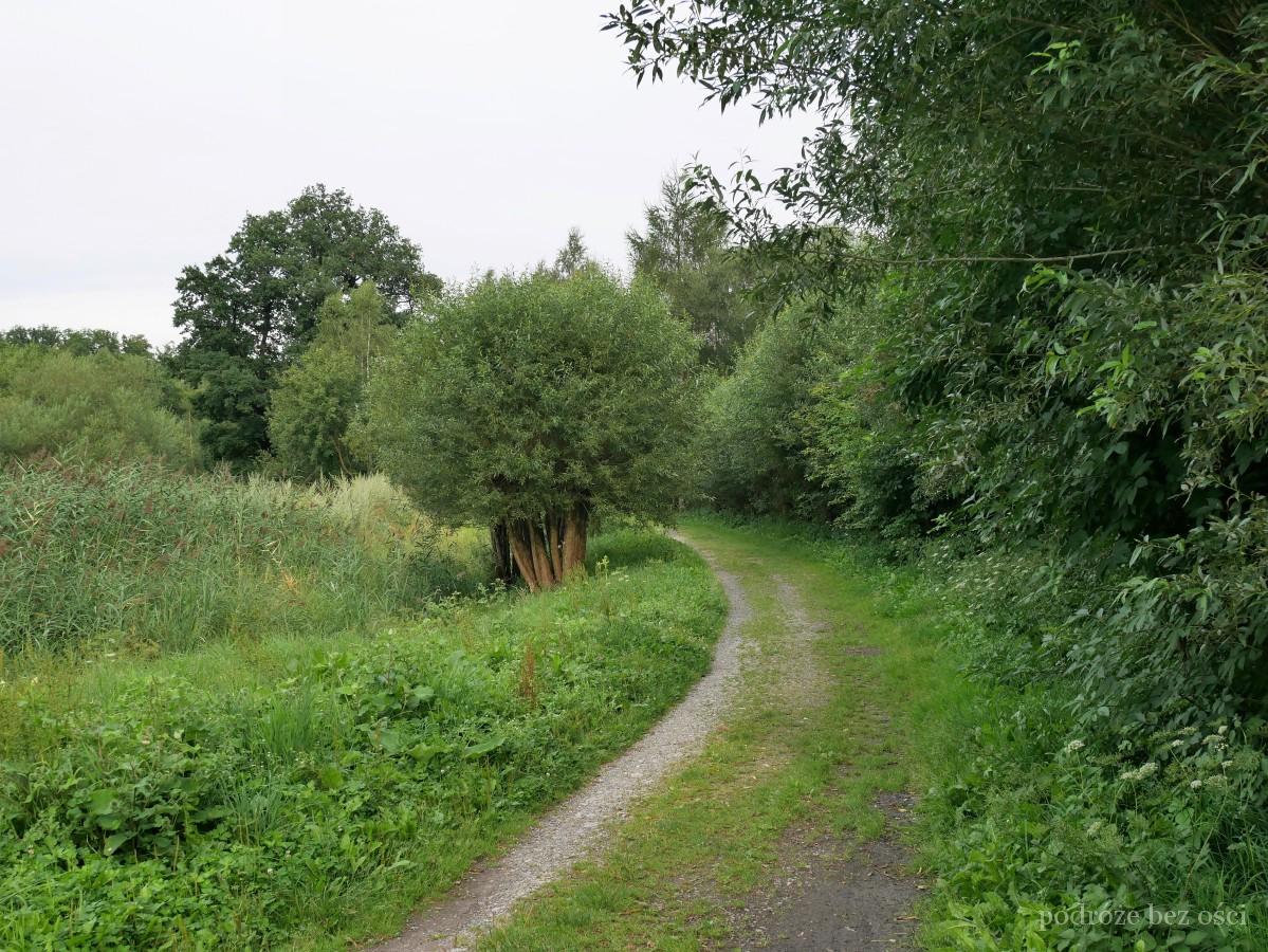Park Krajobrazowy w Bukowcu
