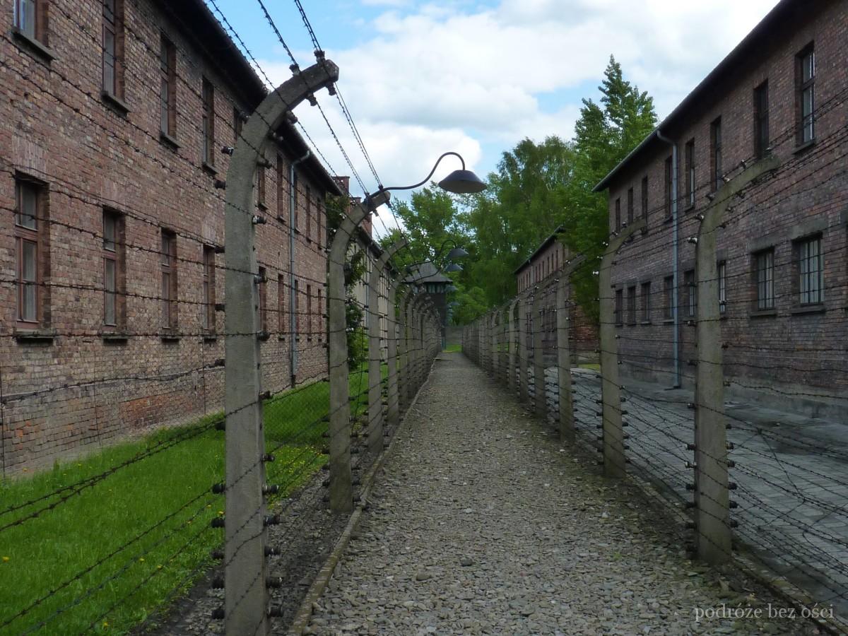 auschwitz birkenau zwiedzanie muzeum niemiecki oboz koncentracyjny zaglady w oswiecim wycieczka baraki (2)