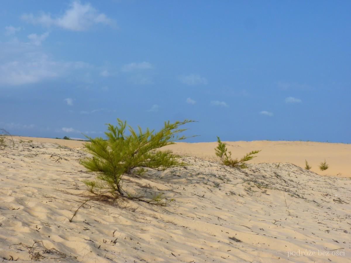 mui ne biale wydmy white sand dunes atrakcje co warto zobaczyc wietnam phan thiet viet nam