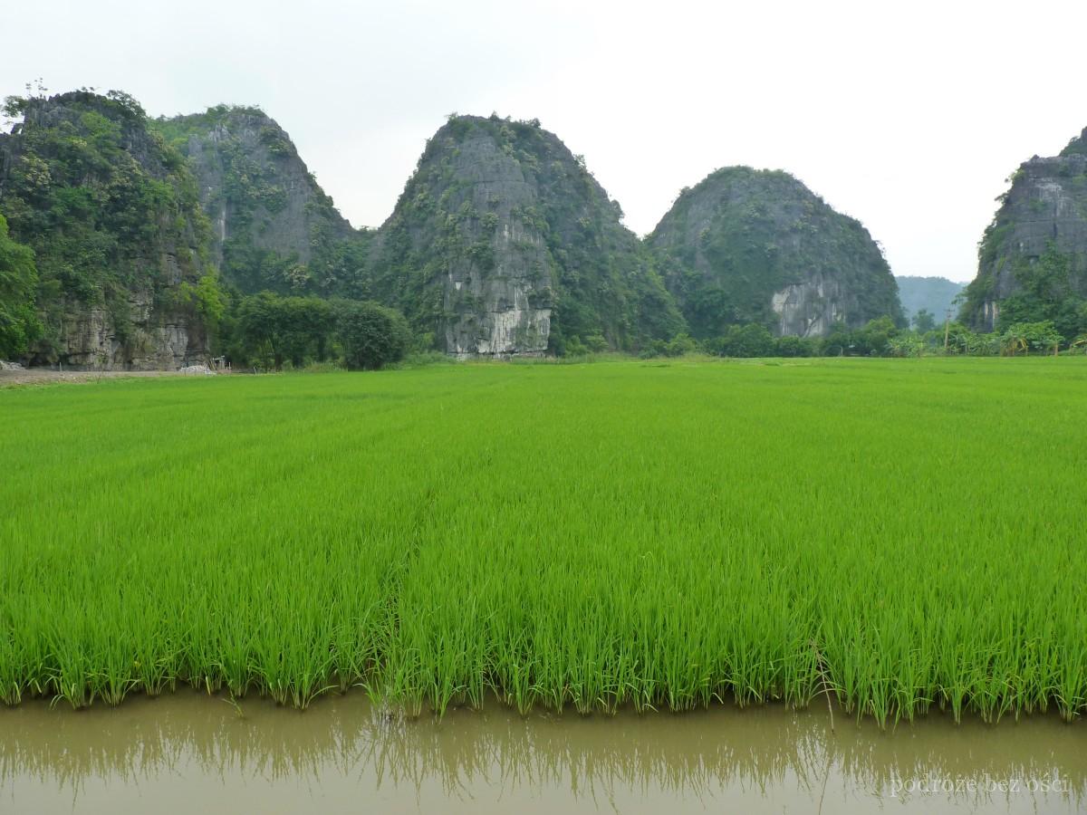 ninh binh tam coc trang an pola ryzowe wietnam viet nam zwiedzanie atrakcje