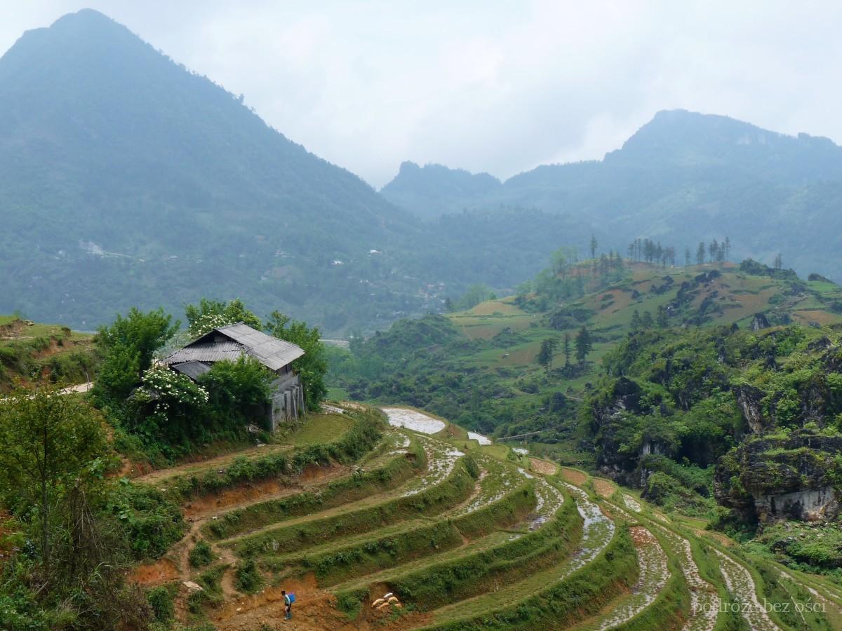 ta phin village wioska trekking sapa sa pa atrakcje czy co warto zwiedzic zobaczyc wietnam viet-nam