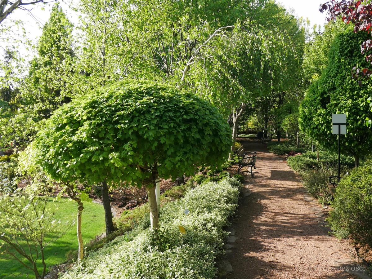kapias ogrody goczalkowice zdroj zwiedzanie najpiekniejsze ogrody w polsce na slasku 