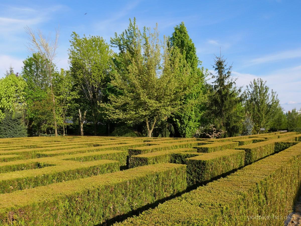 labirynt atrakcje dla dzieci kapias ogrody goczalkowice zdroj zwiedzanie najpiekniejsze ogrody w polsce na slasku