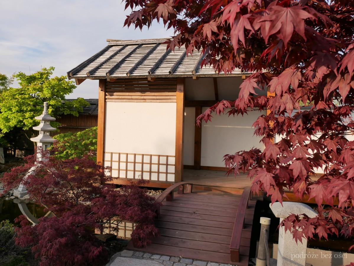 ogrod japonski kapias ogrody goczalkowice zdroj zwiedzanie najpiekniejsze ogrody w polsce na slasku 