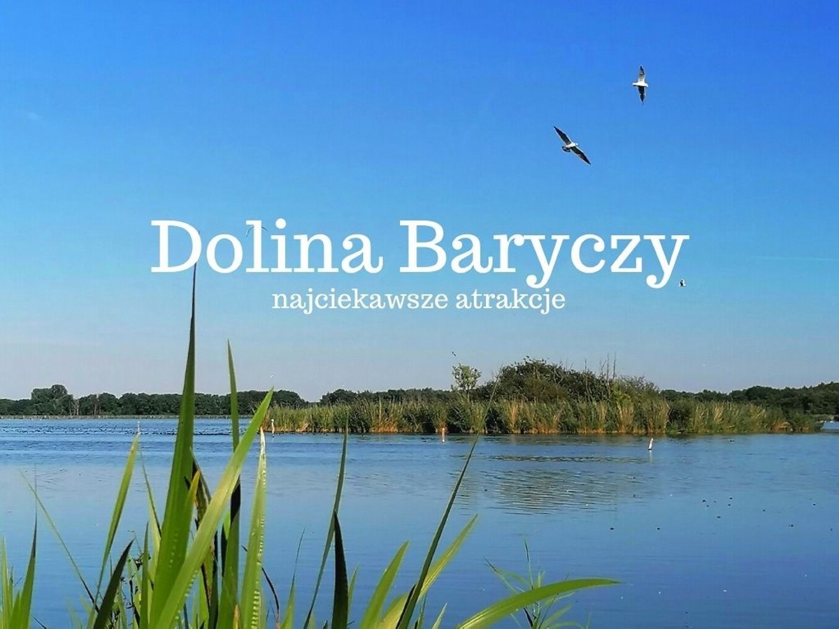 Dolina Baryczy atrakcje - TOP 10. Co warto zobaczyć i zwiedzić w Dolinie Baryczy? Przewodnik. Największy park krajobrazowy w Polsce.