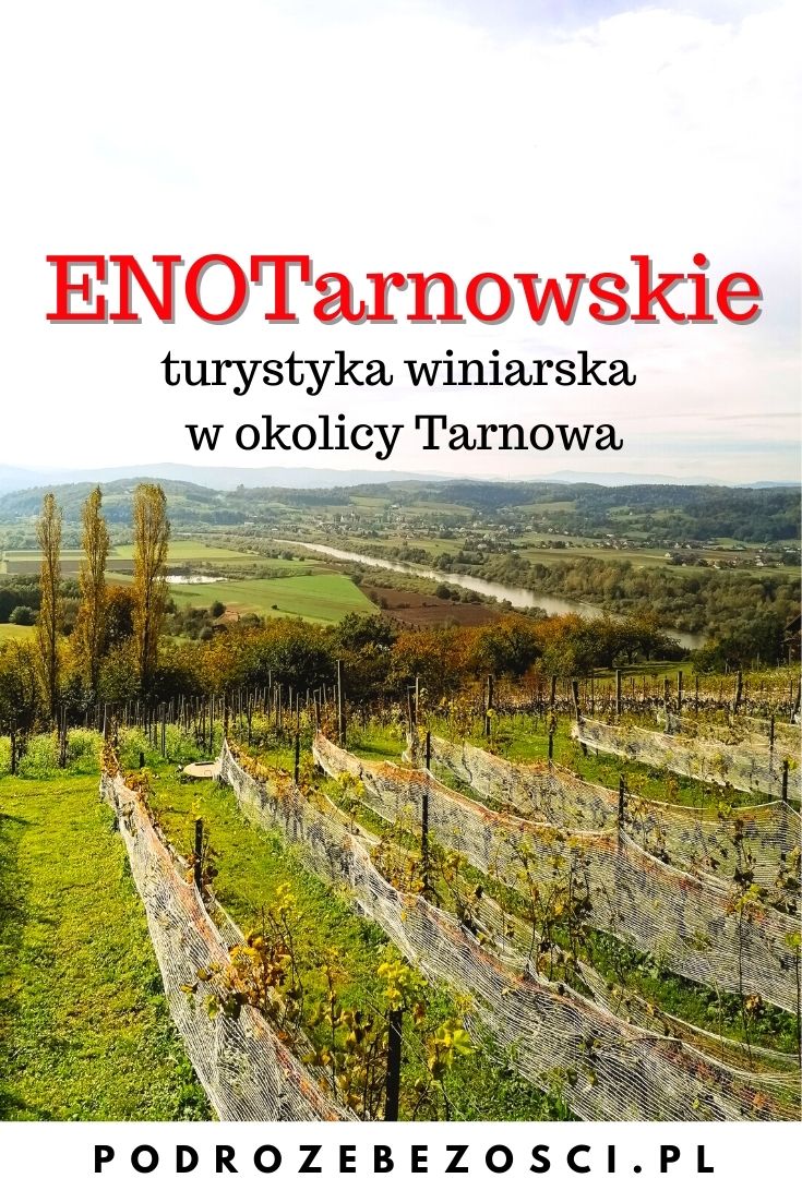 turystyka winiarska enoturystyka w polsce enotarnowskie winnice w okolicy tarnowa pinterest