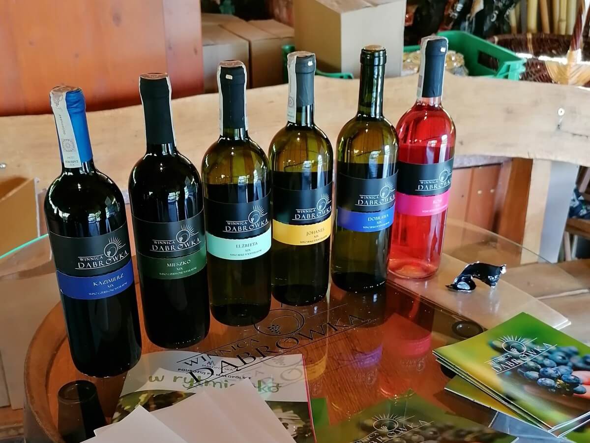 wina winnica dabrowka w dabrowce szczepanowskiej turystyka winiarska enoturystyka w polsce enotarnowskie winnice w okolicy tarnowa