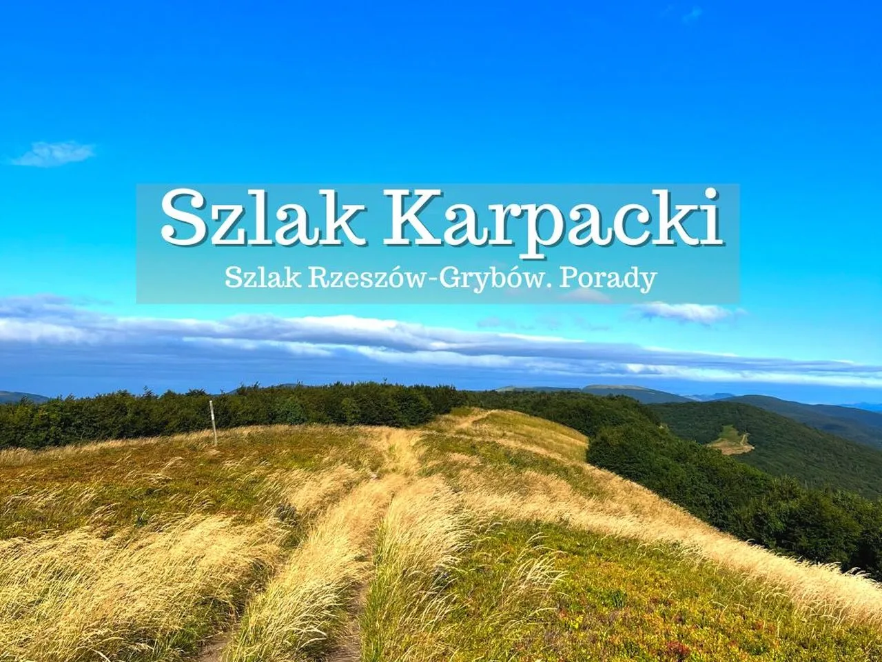 Szlak Karpacki - jedna z nazw niebieskiego szlaku Rzeszów-Grybów. Długość ok. 430 km. Skąd zacząć? Co spakować? Jak wyglądają noclegi, sklepy?