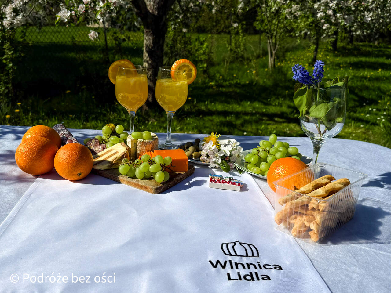 winnica lidla